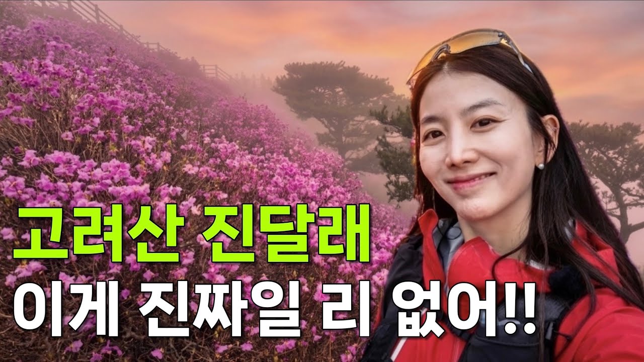 강화 고려산 진달래부터 금문도 간짜장까지, 하루 코스